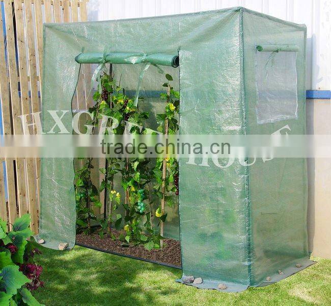 Planting Tomatos in the tomato Greenhouse