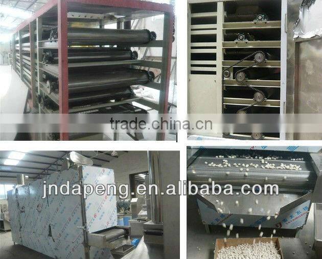Snack Food Drying Oven