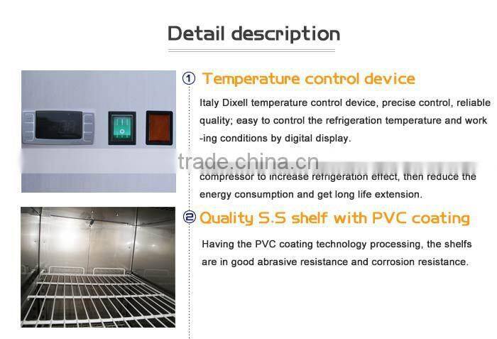 528L Stainless Steel Double Door Upright Freezer/2 Door Upright Freezer/Double Door Deep Freezer