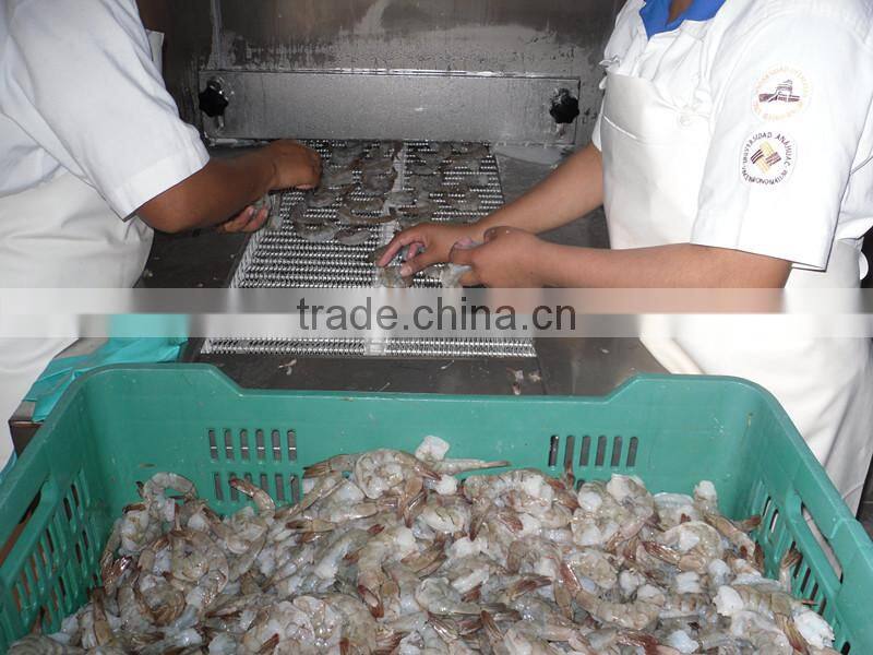 Vgetable Spiral Freezer