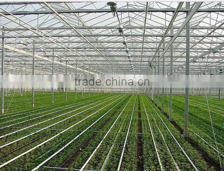 20000 sqm glass greenhouse for sale