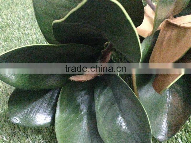 Artificial Magnolia Leaves And Magnolia Branches