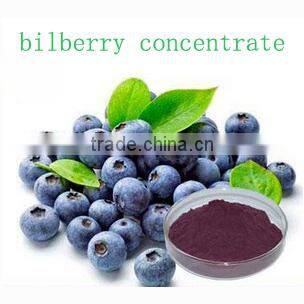 bilberry concentrate for Anti-oxident
