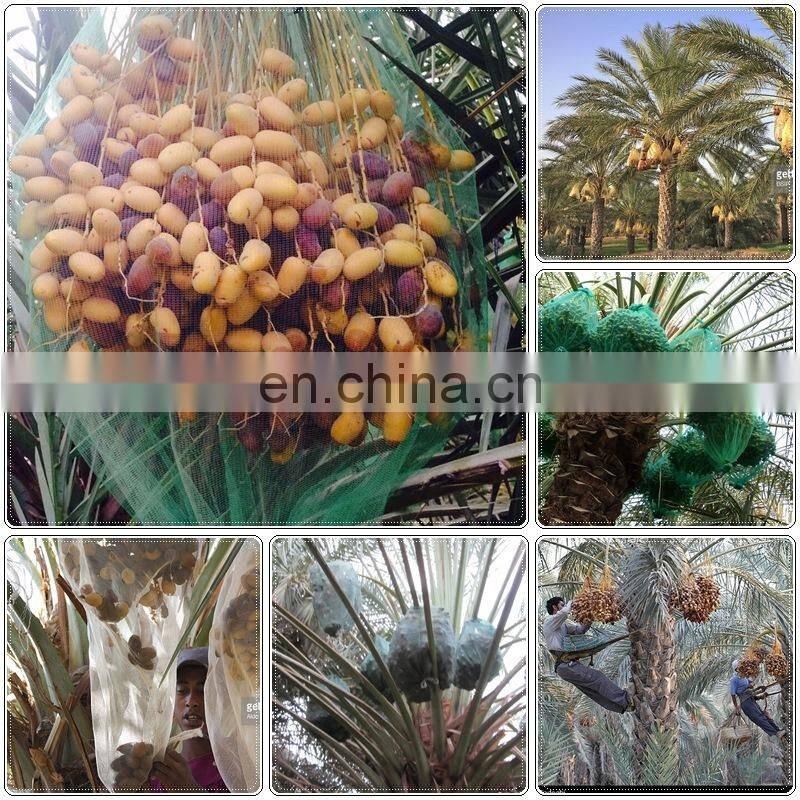 MONO Date net opening mesh bag for PE date palm
