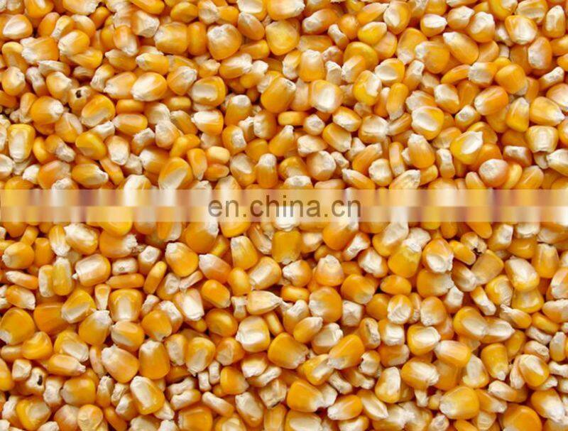 Most popular rice cleaning machine grains winnower grain thrower machine