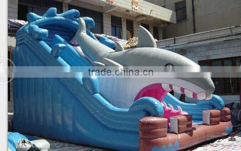 Cheap Ao QI PVC Trapualin Inflatable Water Slides for USA market
