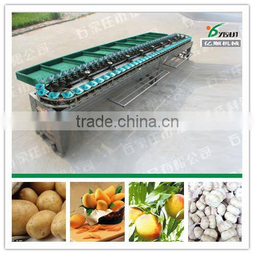 High efficiency low noise garlic sorting machine