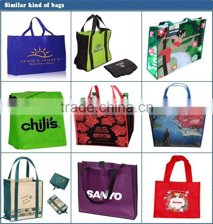 Professional travel cosmetic bag with CE certificate