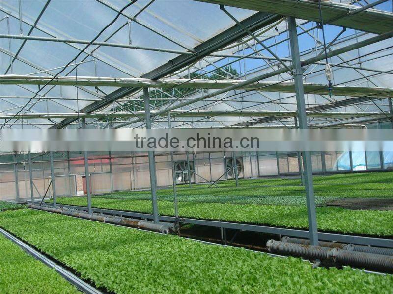 High Quality Polycarbonate Multi-wall Sheet