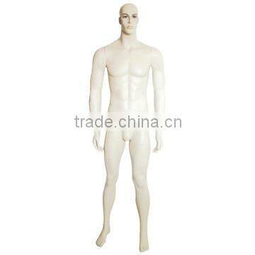 Reasonable price plastic half body mannequin/Newly half body mannequin/Muscle male torso mannequin