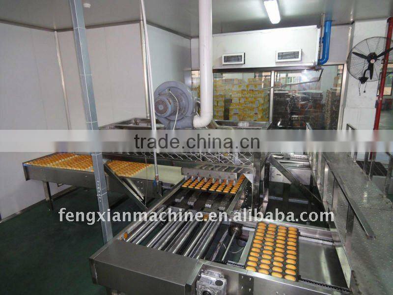 10T/D Full Automatic Custard Cake Production Line