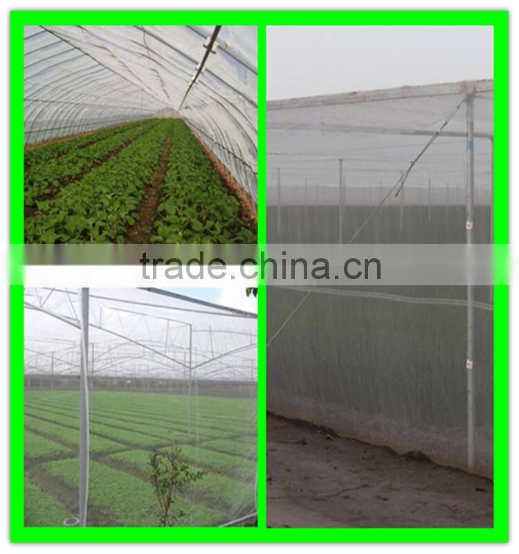 china factory supply high quality virgin hdpe insect netting for fruit trees