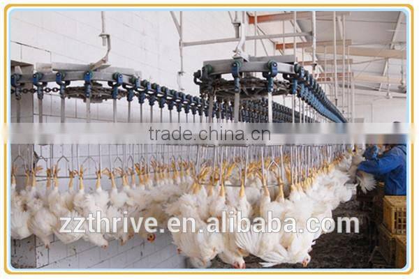 Long time working chicken feather removal machine for removal feather/chicken slaughter machine