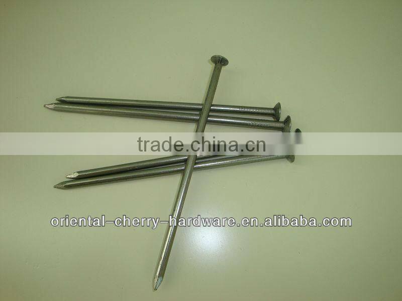 Common Nails,Manufacturer