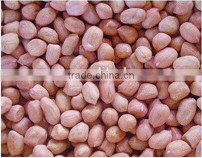 ANON manual seeder planter machine gardening planter mini seeder