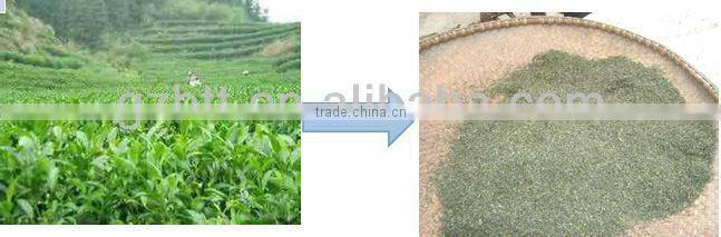 tea fryer factory direct selling