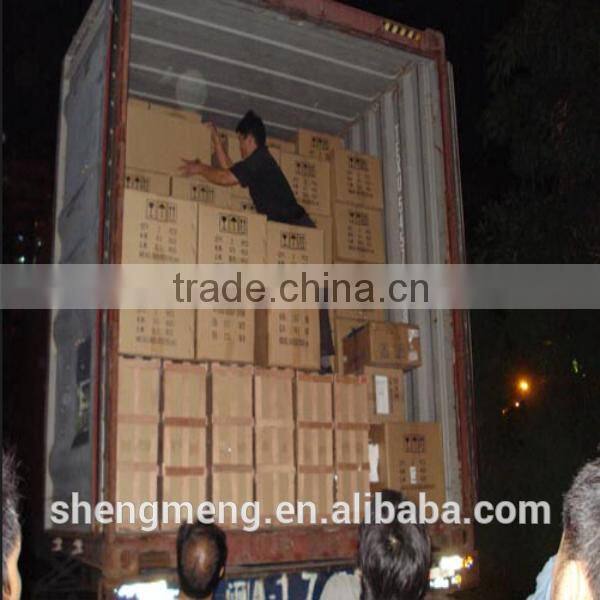 Electric infrared dual head Mini dolphin massage