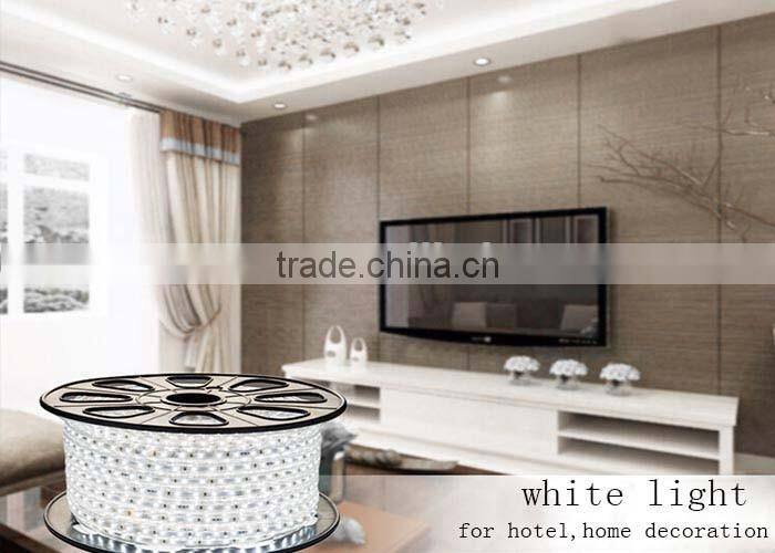 Magnetic Rope Lights Color Changing Strip Light DIY Flexible Strip 110-220V IP67