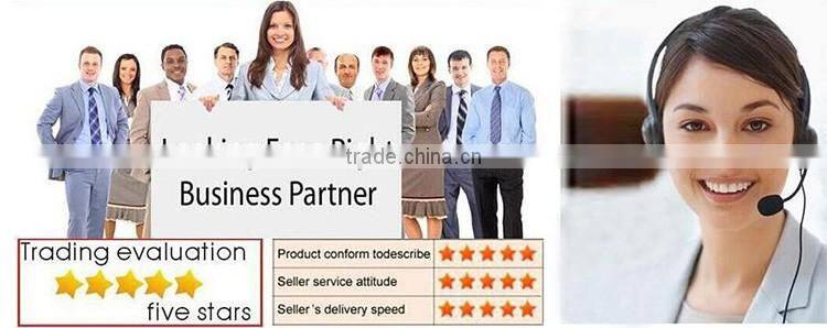 2016 new design 10 inch two wheel electric self balancing scooter with handle