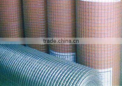 Galvanized WELDED wire mesh from Factory