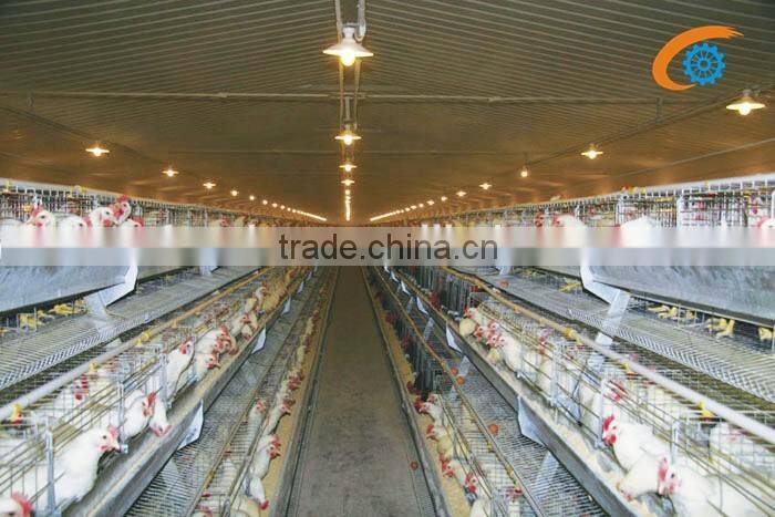 automatic quail waterer poultry waterer nipple drinker