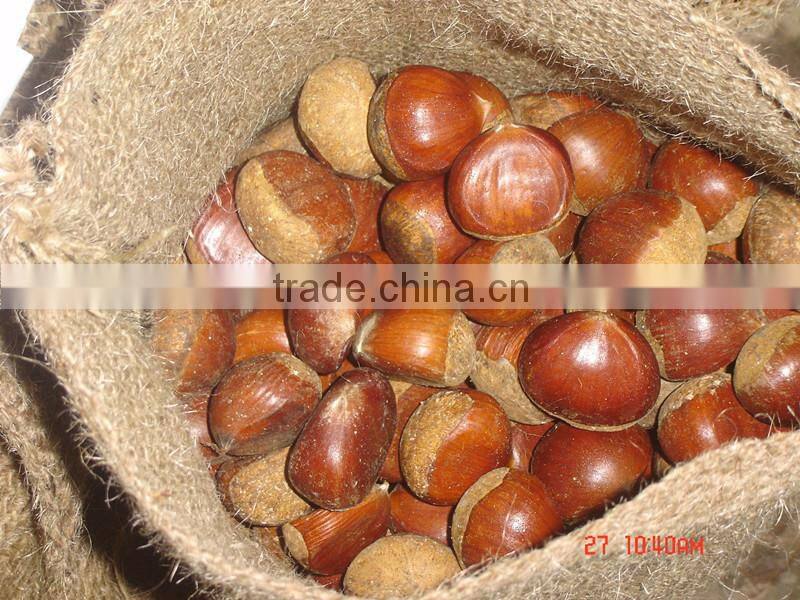 fresh chestnut,2015 chestnut,TianJin chestnut factory fresh