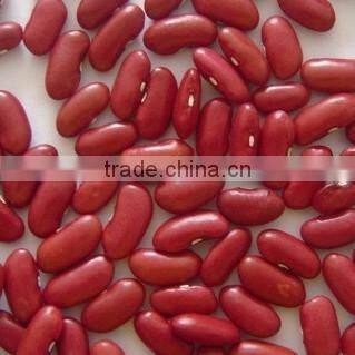 all size new crop kidney bean 2010