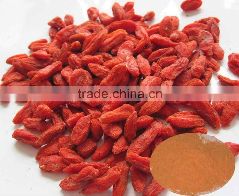Barbary Wolfberry Fruit Powder from GMP manufacturer