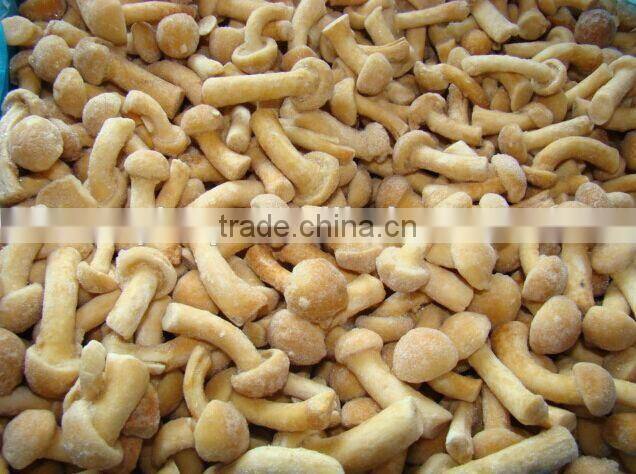 IQF nameko mushroom/frozen nameko mushrooms