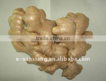 fresh dry skin ginger