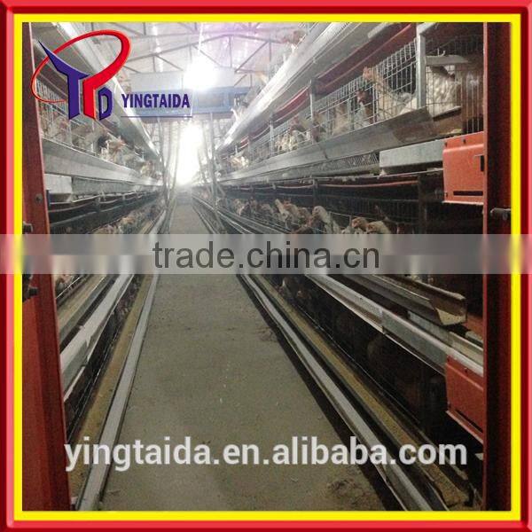 High quality design layer chicken cages for Kenya poultry farm ( full poultry equipment)