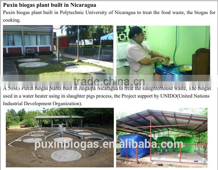 PUXIN mini biogas plant for food waste composting machine