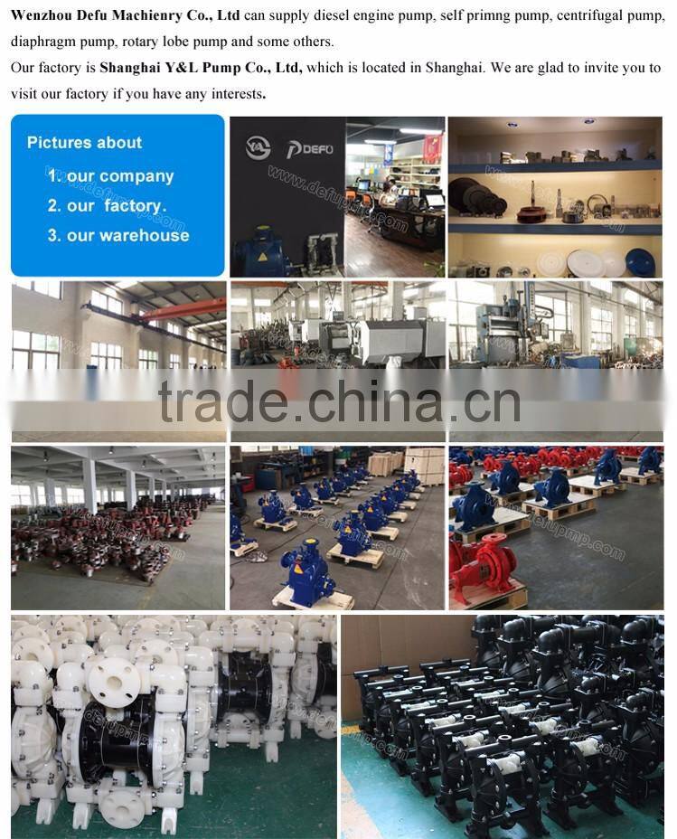 Air Operated Diaphragm Water Pump For Acid and Alkali