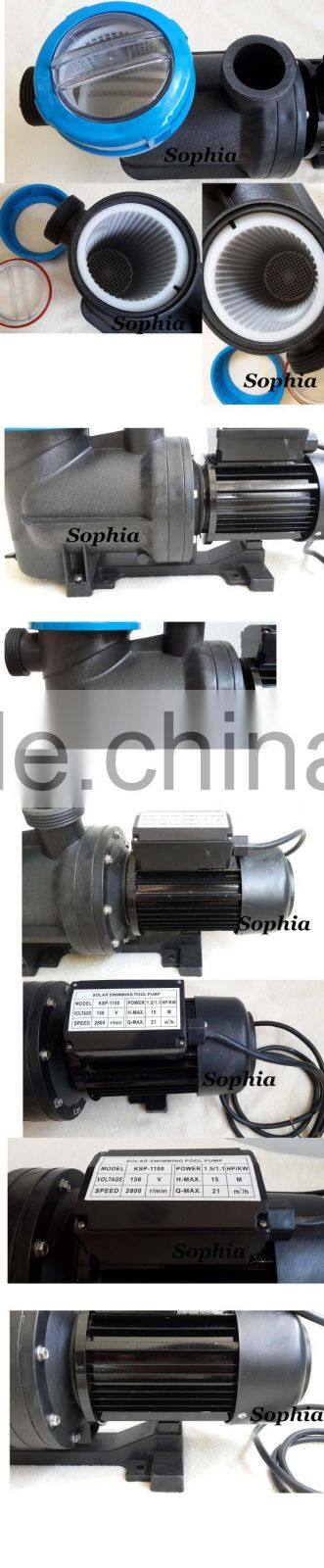 Brushless DC Solar Water Pump for Swimming Pool