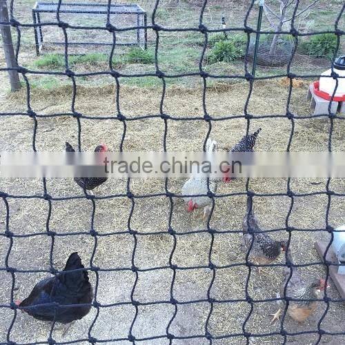 PE Chicken net.Aviary Netting