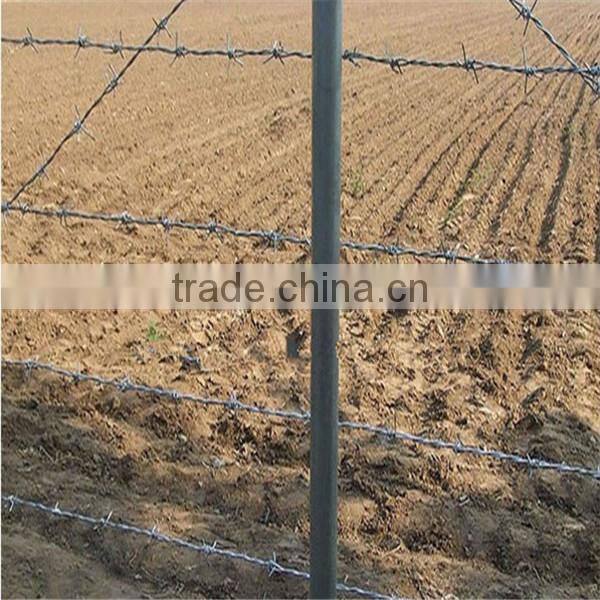 galvanized PVC coating barbed wire