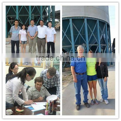 40 - 50t/h paddy rice belt conveyor for grain