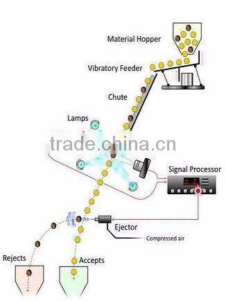 2016 Newest Auto salt color sorting machine More stable salt color sorter machine in china