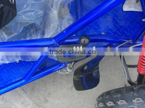 Off Road 250cc Sand Buggy