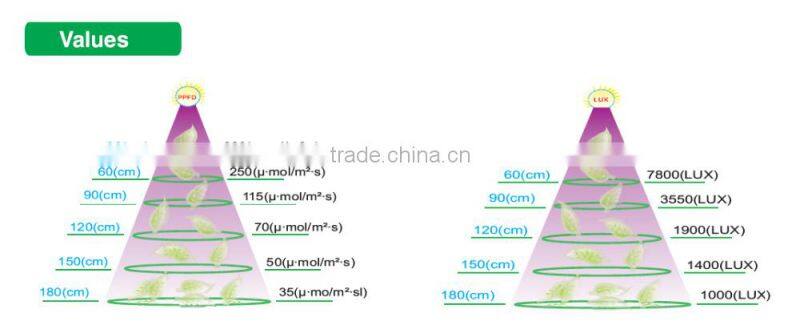 Hot wholesale sunflower type 600W high eneegy indoor grow light