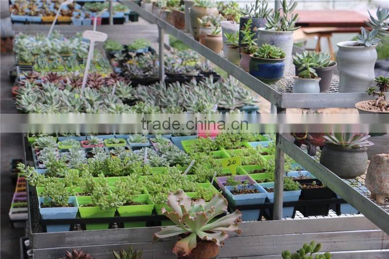 Plastic Colorful More Thickness Square Flower Pot