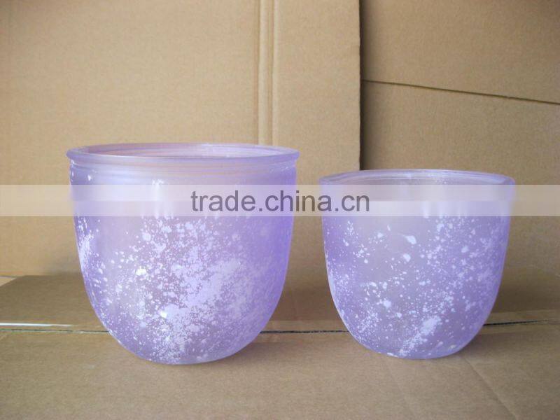 glass flower vaseglass , flower pot