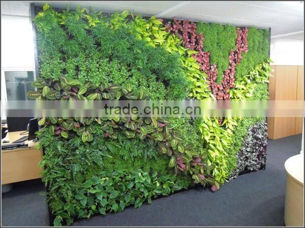 Artificial green wall plant wall