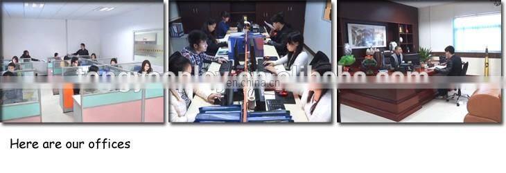 Water Park Giant Outdoor Dinosaur Inflatable Slide