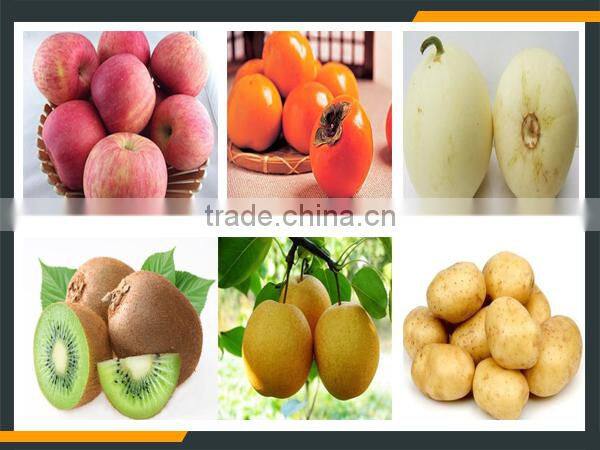 Leader medium-sized fruit skin removing machine for kiwi ,avocado, apple