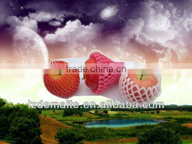 High Qualtiy Fruit EPE Foam Net