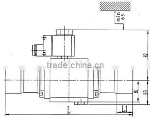 BLR/EVR New diaphragm water solenoid valve