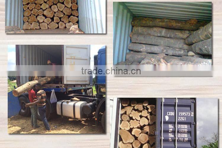 Teak logs Grade A from West Africa Ghana monthly 8FCL supply (skype: ste.nanking)