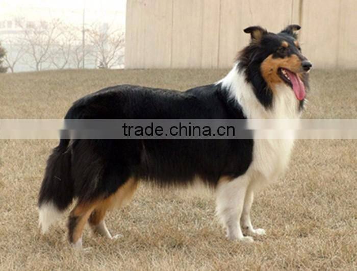 green scented dog poop bag dispenser and refills