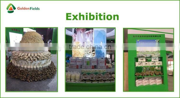 Black Chinese Mushrooms,Shitake Mushrooms Health Benefits,Growing Shitake Mushrooms